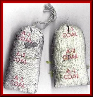 Shovel for Dump Unit